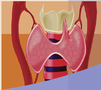 thyroid